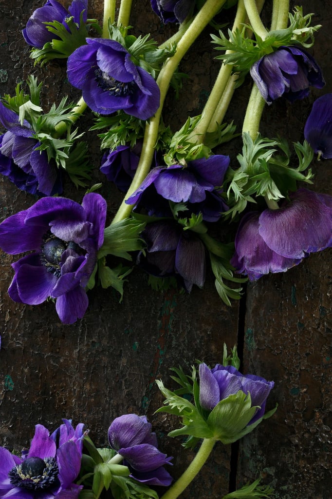 Foto: Daniel Aeschlimann