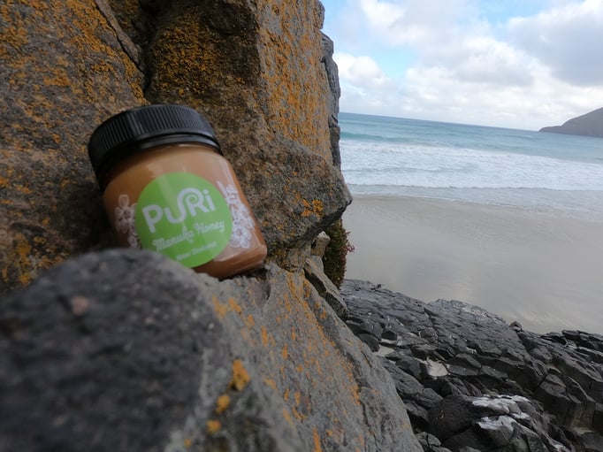 Allans Beach (Otago Peninsula)