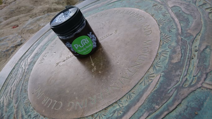 Flagstaff Summit (Dunedin)