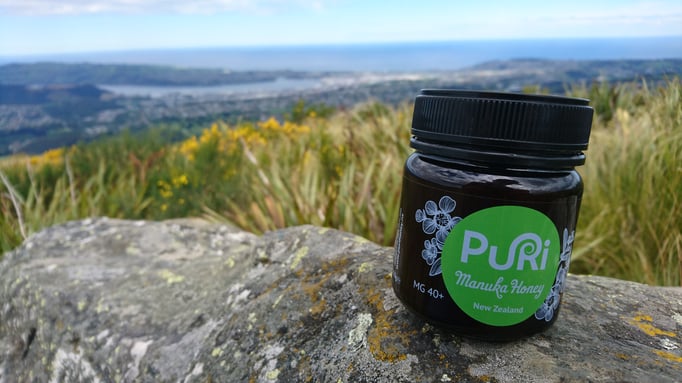 Flagstaff Summit (Dunedin)