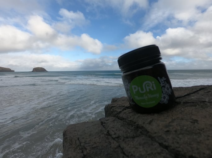 Allans Beach (Otago Peninsula)