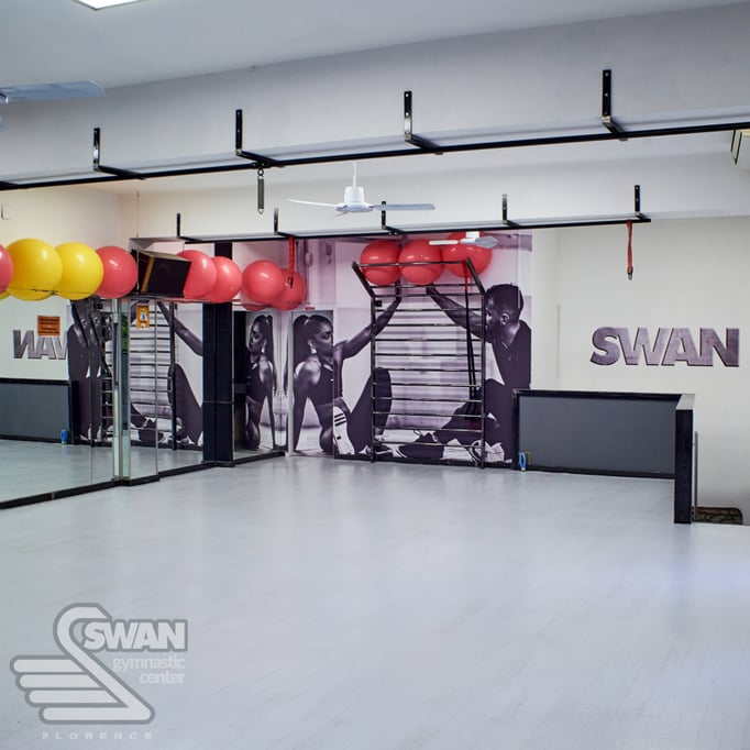 SWAN GYMNASTIC CENTER | Fitness room