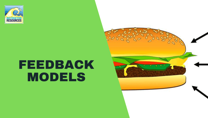Feedback Models ©www.instructorresources.co.uk