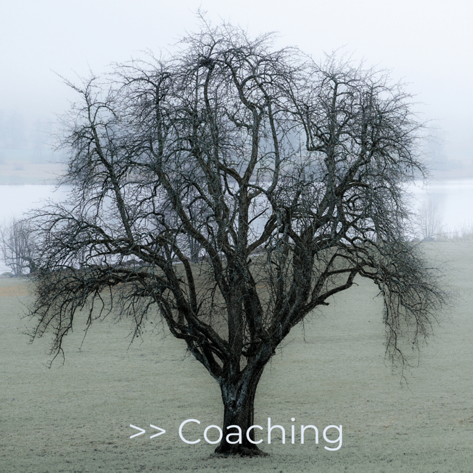 Life Coaching, entdecke die beste Version von dir selbst. Coaching, Autogenes Training und Hypnosetherapie by Babas Balance