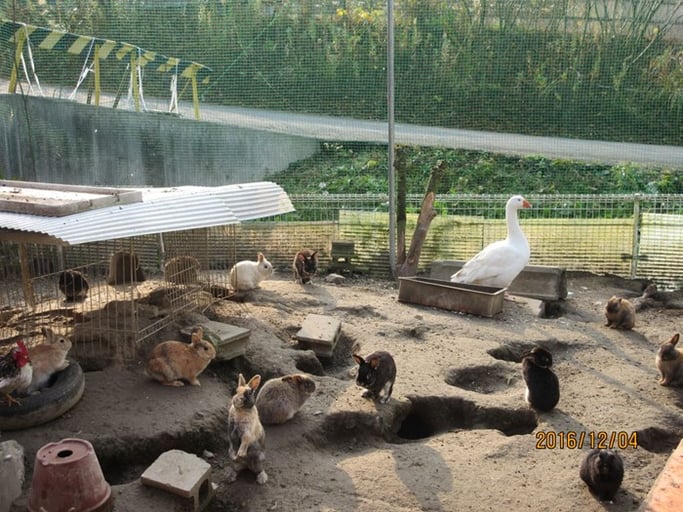 広島・福山の浄土真宗　南光坊の動物達