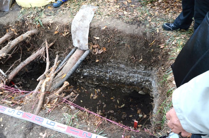 定禅寺通のケヤキの根っこ環境調査（２０２３年１１月２９日）