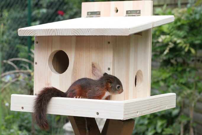 Eichhörnchen Kobel Bauanleitung Skizze Bauplan Schlafhaus