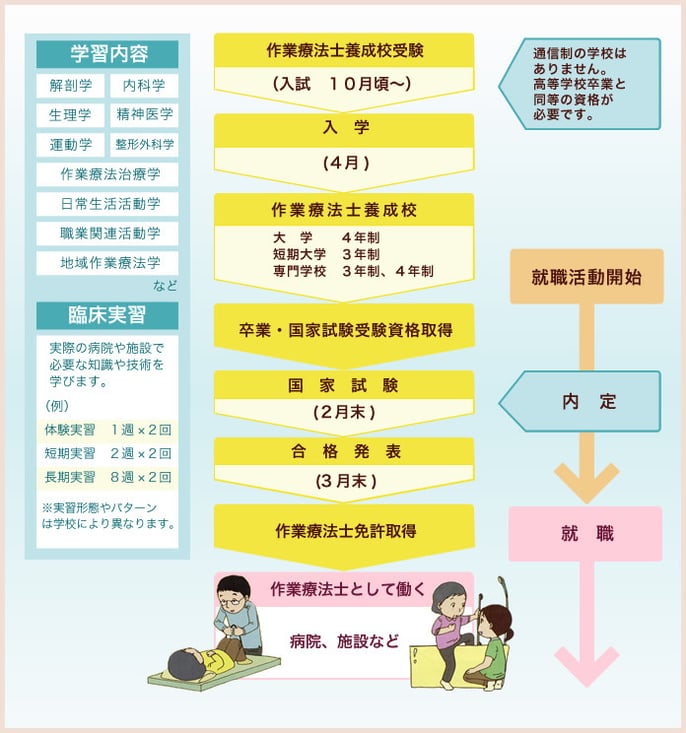 作業療法士になるための流れ