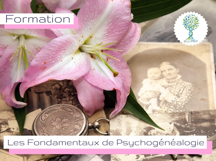 formation-fondamentaux-psychogénéalogie-ellipsy