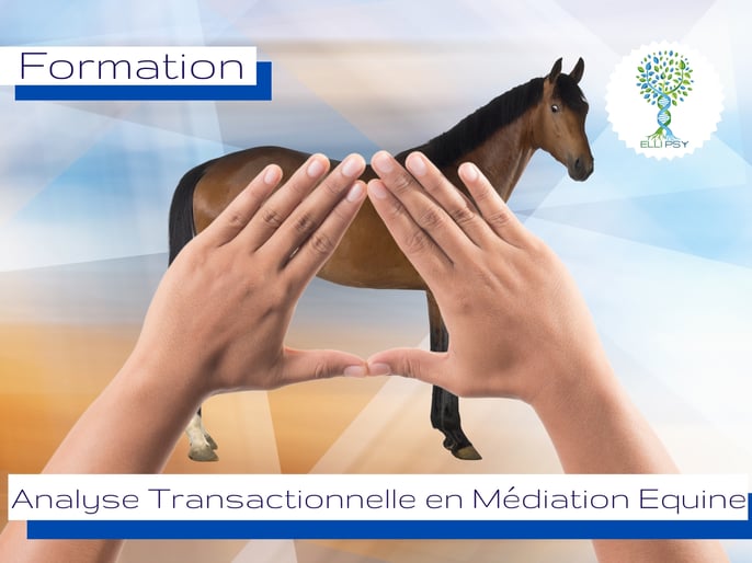 ellipsy-formation-analyse-transactionnelle-en-médiation-équine