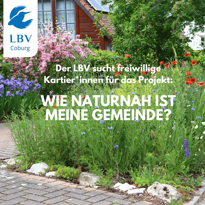 Original Foto von Peter Bria/LBV-Archiv