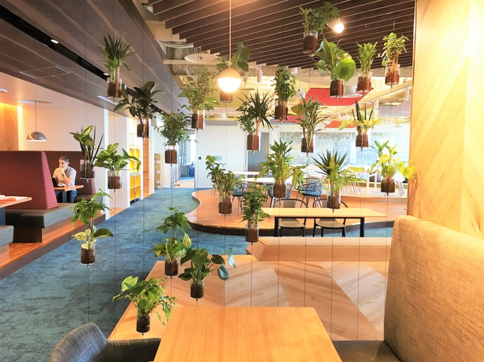 【Green】グリーン