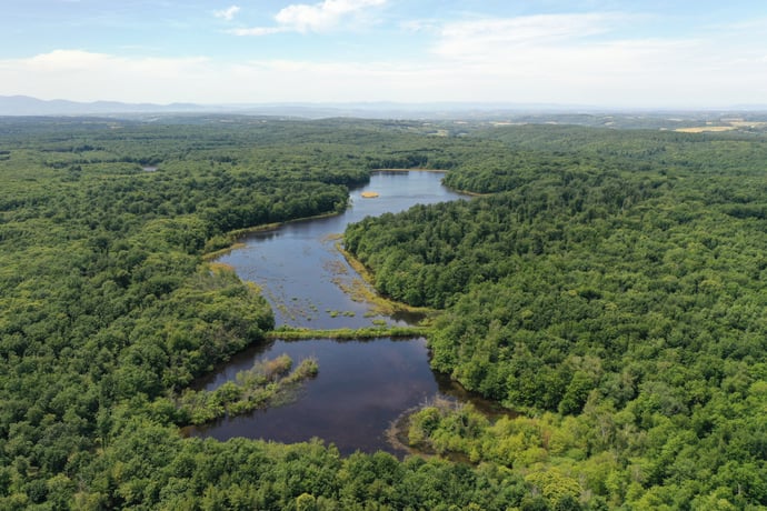 ETANG DU GRAND ALBERT ETE 2024