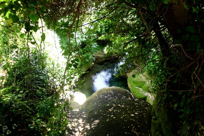 Nur wenige Meter vom Strand entfernt,bizarre Natur.