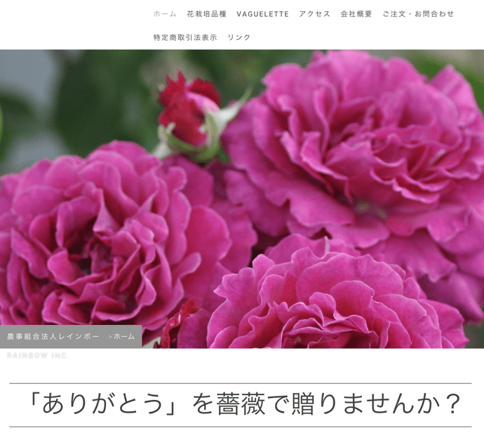 提供者ホームページ