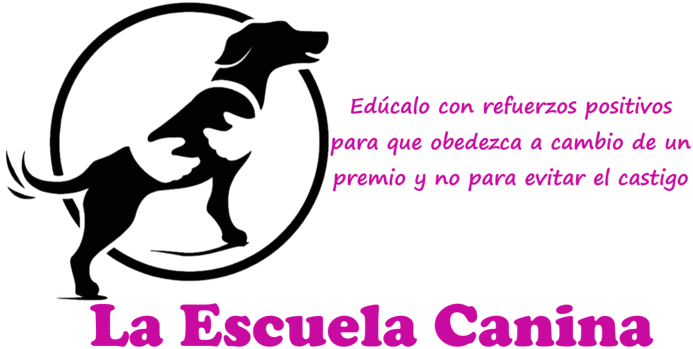 La Escuela Canina - Educacion y adiestramiento de perros