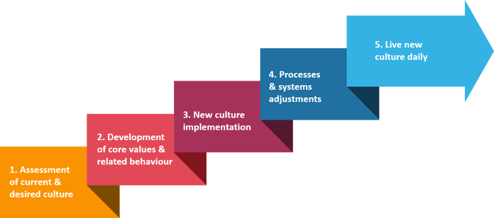 5 Stages of Conscious Culture Transformation