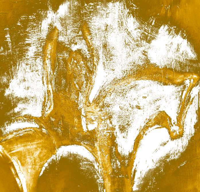 Feel Your Horse, door Kim Vandevorst na een zitlessessie bij ons