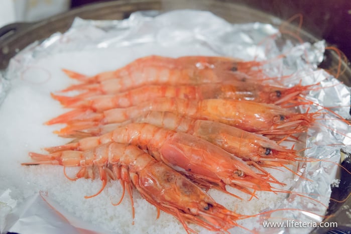 LifeTeria　ブログ　小張龜山島　小張亀山島