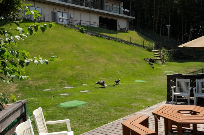 すべてはワンコのために ドッグラン