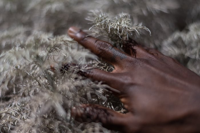 Rencontres de rêves 2019 Projet photographique avec le centre d'hébergement d'urgence de Carcassonne