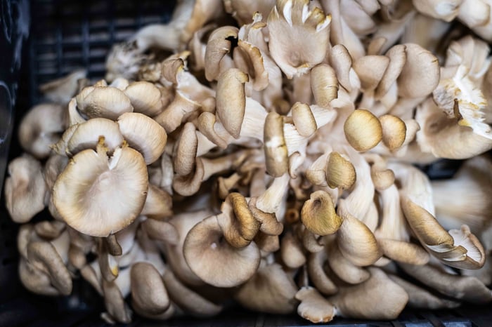 SYSTÈME D, Marseille, France, 2025 - Léo Derivot