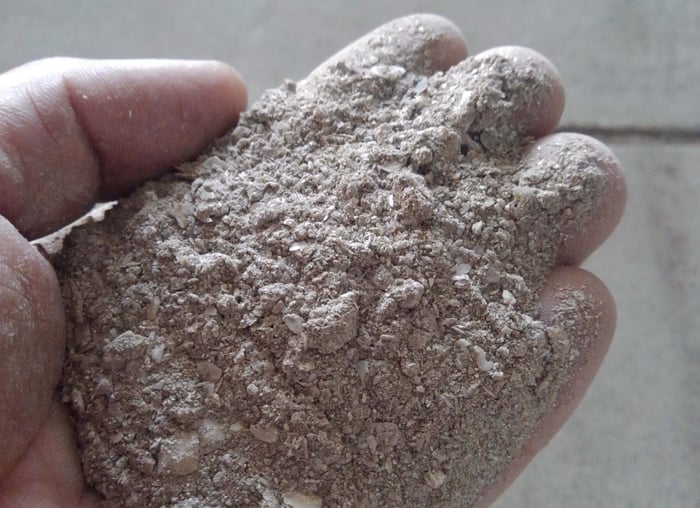 新菜園　浜名湖クレソン　Jimdoアドベントカレンダー2018