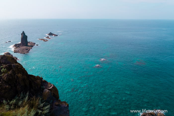 LifeTeria　ブログ