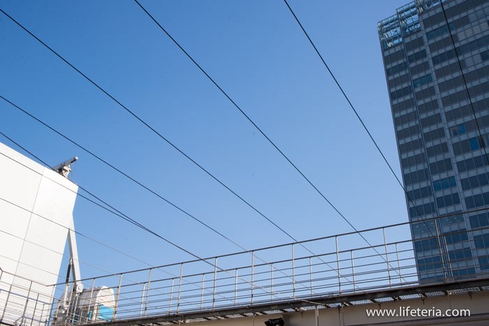 LifeTeria　ブログ