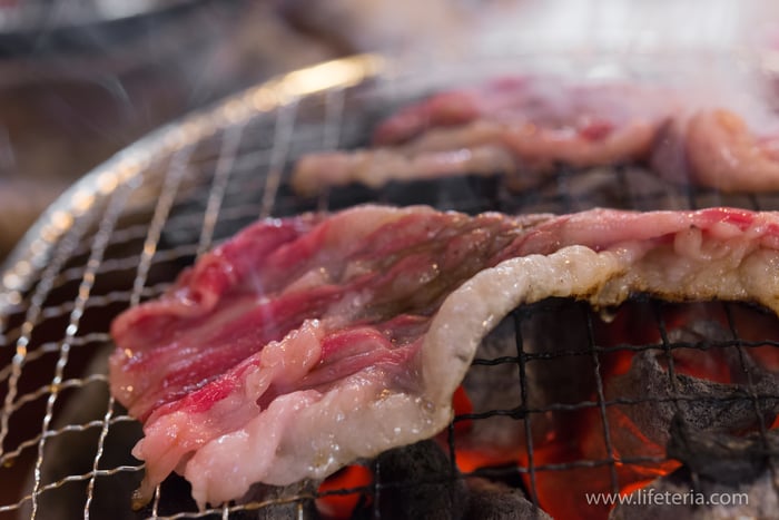 LifeTeria　ブログ　ホルモンまさる