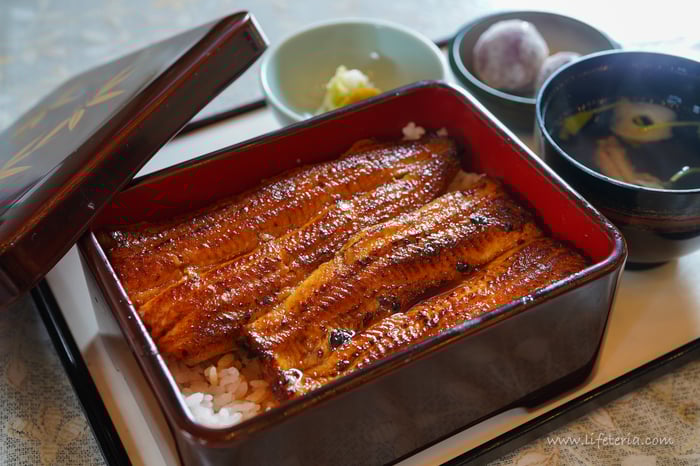 LifeTeria　ブログ