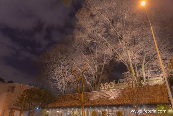 LifeTeria　ブログ