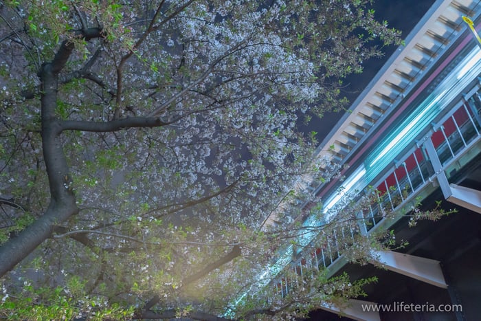 LifeTeria　ブログ