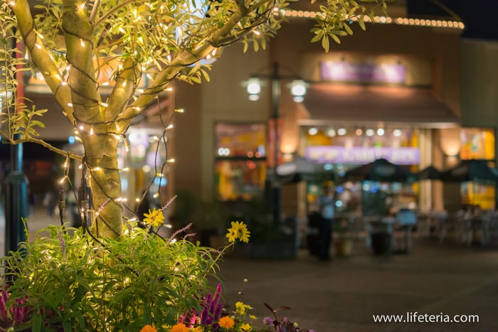 LifeTeria　ブログ