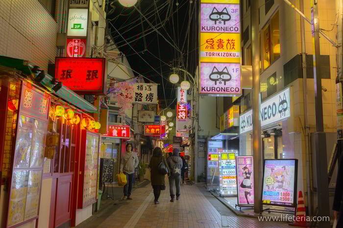 LifeTeria　ブログ