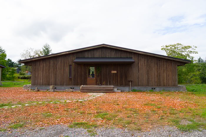 LifeTeria　ブログ　余市SAGRA