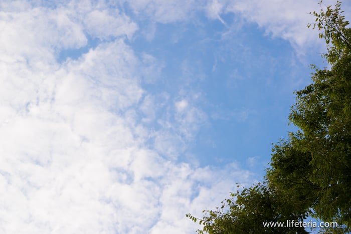 LifeTeria　ブログ