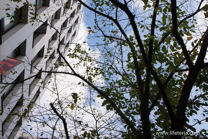 LifeTeria　ブログ