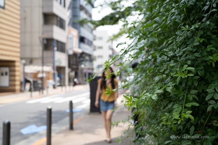 LifeTeria　ブログ