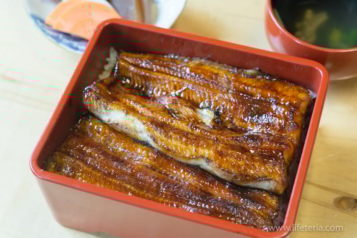 LifeTeria　ブログ