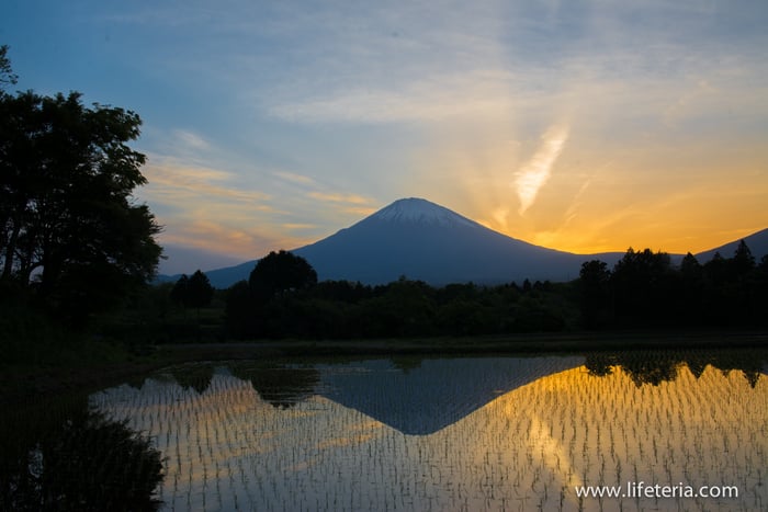 LifeTeria　ブログ