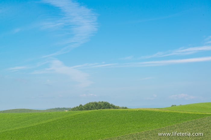 LifeTeria　ブログ