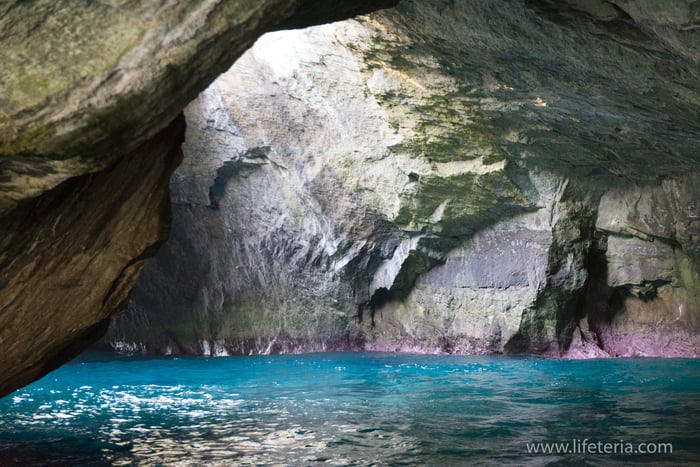 LifeTeria　ブログ