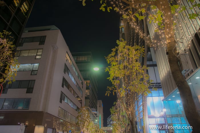 LifeTeria　ブログ