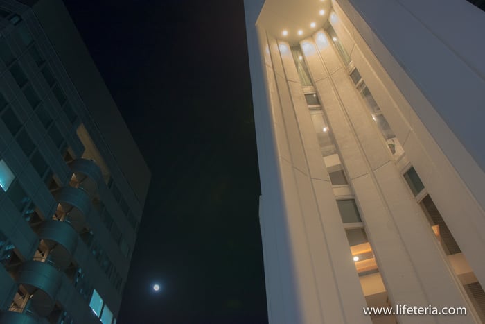 LifeTeria　ブログ