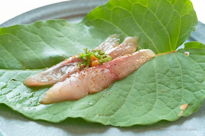 LifeTeria　ブログ　余市SAGRA