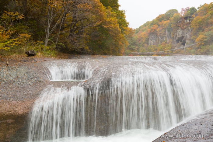 LifeTeria　ブログ