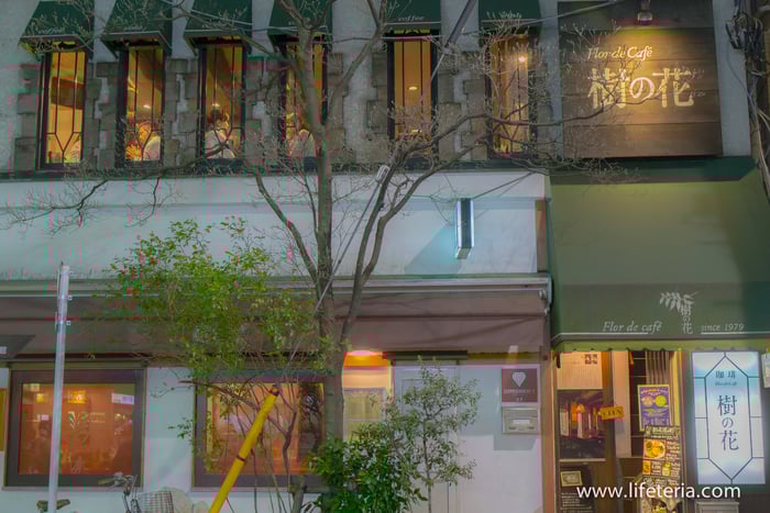 LifeTeria　ブログ　樹の花