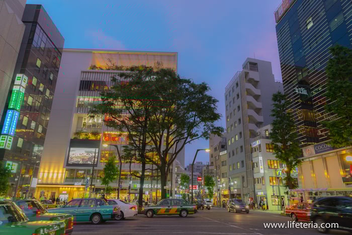 LifeTeria　ブログ