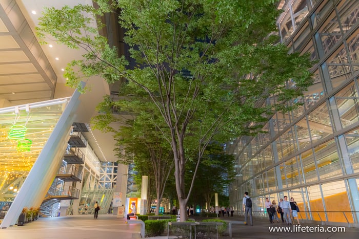 LifeTeria　ブログ